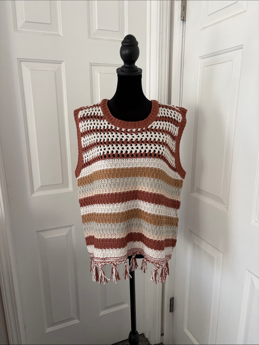 DR2 by Daniel Rainn NWT Stripe Tassel Trim Crop Sweater Tank